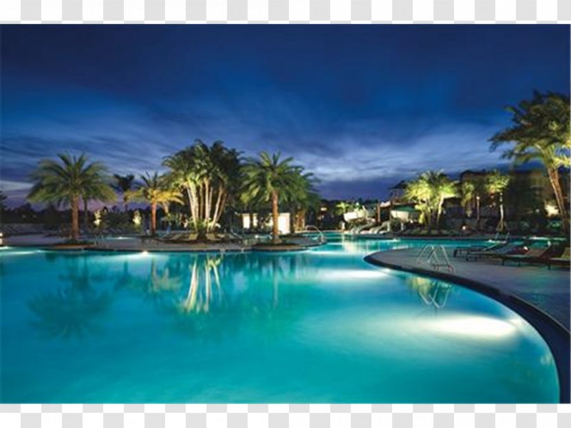 Bluegreen Vacations Fountains, Ascend Resort Collection The Fountains Hotel Villa - Palm Tree Transparent PNG