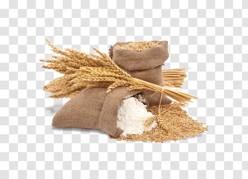 Organic Food Atta Flour Ingredient Whole Grain - Business Transparent PNG