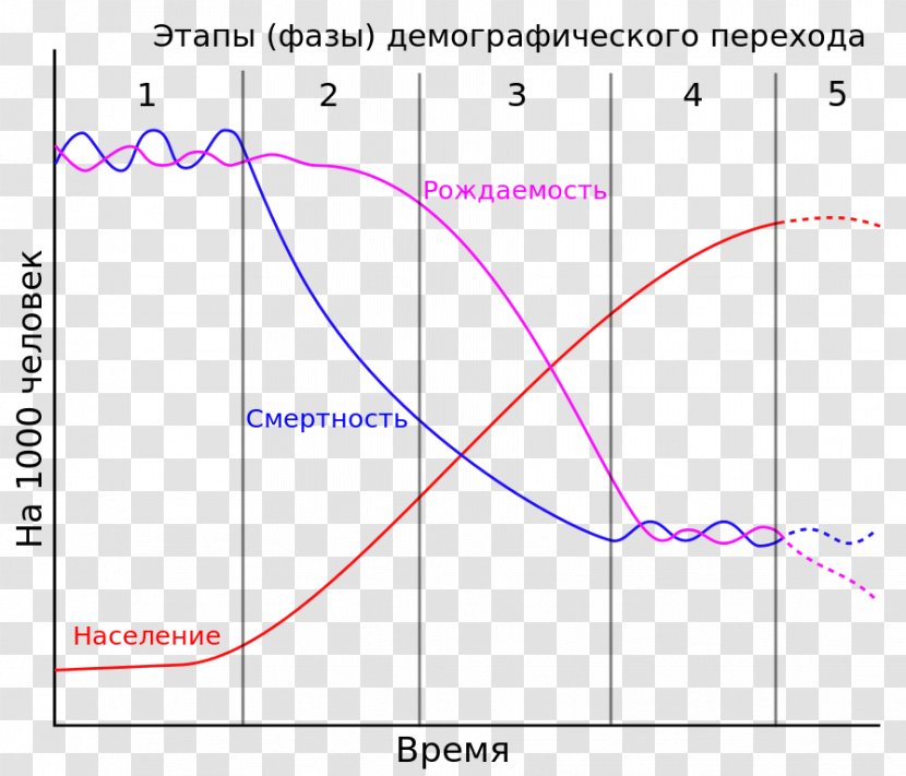 Demographic Transition AP Human Geography Demography Population - Region - Stages Transparent PNG