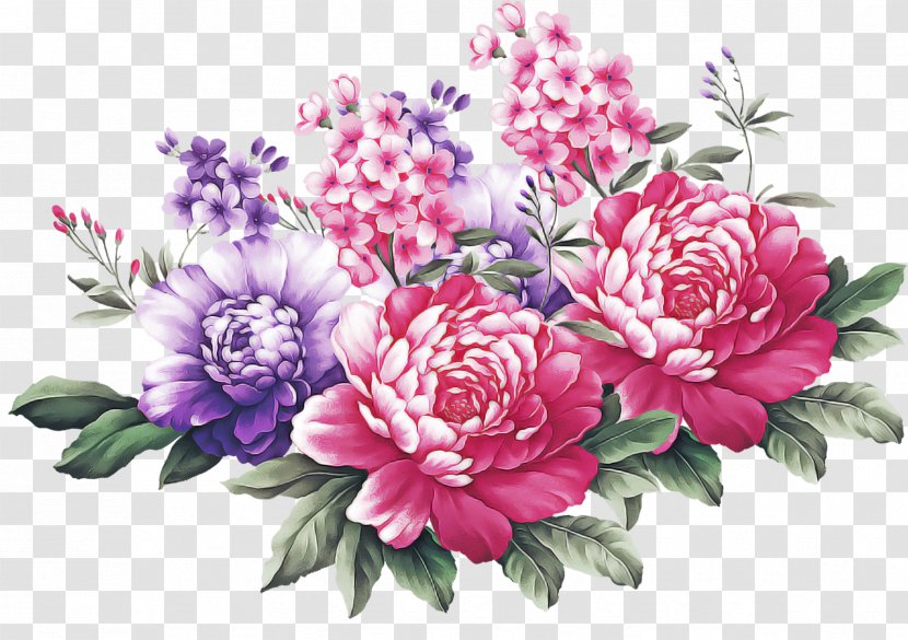 Floral Design - Pink - Chinese Peony Transparent PNG