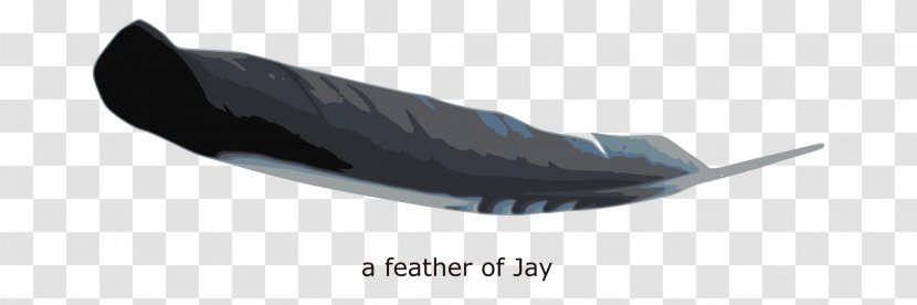 Shoe Angle - Wing - Blue Feather Transparent PNG
