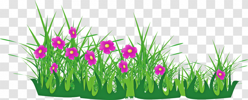 Flower Border Flower Background Transparent PNG