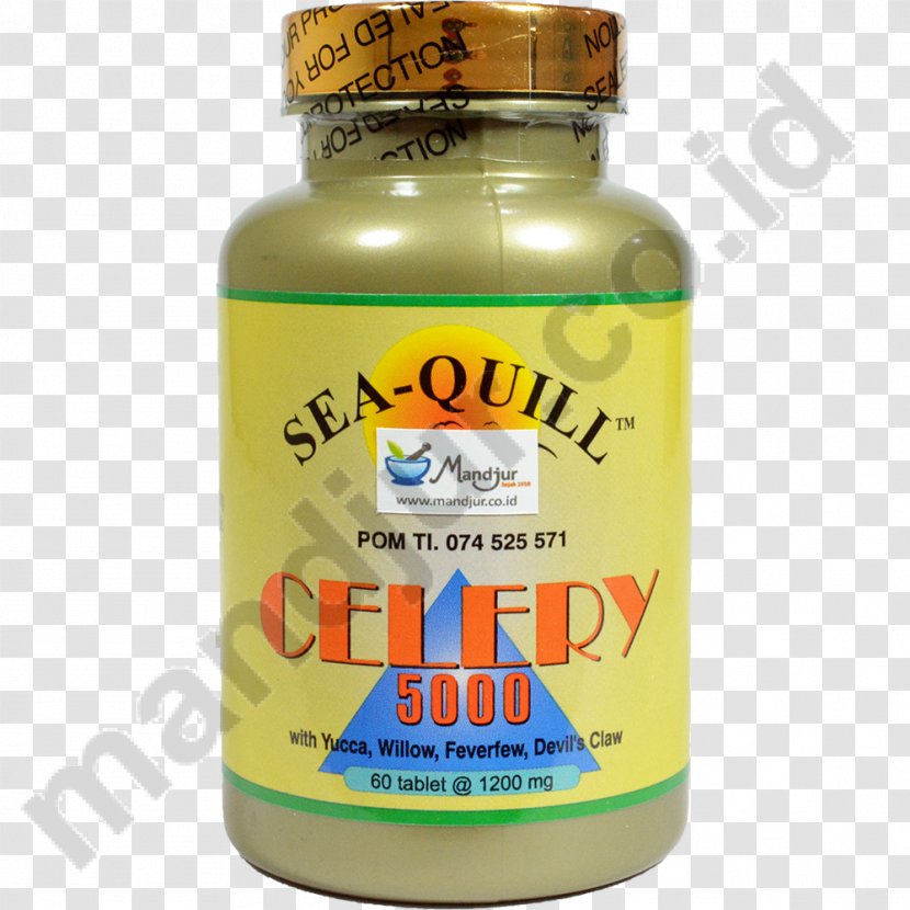 Omega-3 Fatty Acids Fish Oil Salmon Softgel Lachsöl - Cholesterol - Health Transparent PNG