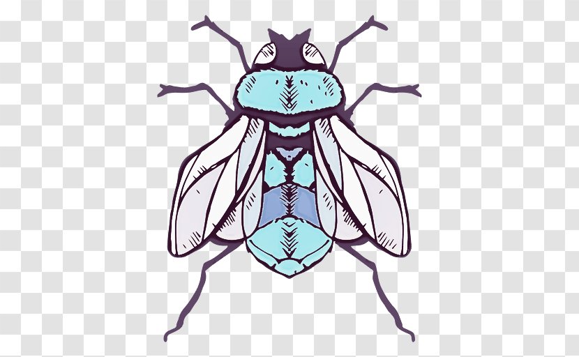 Insect Pest Fly Beetle Blister Beetles - Blowflies House Transparent PNG