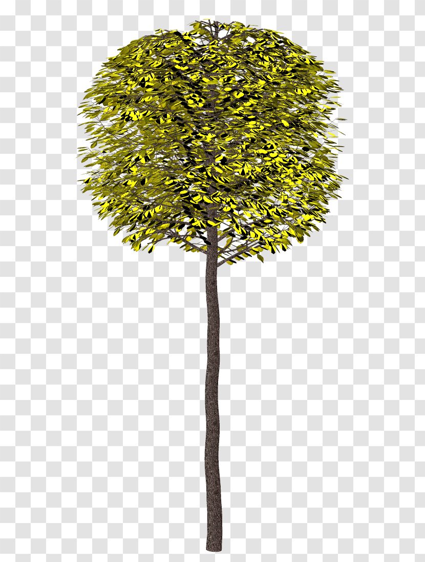 Tree 2404 (عدد) Shrub Clip Art Transparent PNG