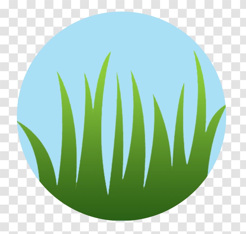 Logo Grasses Circle Leaf Font Transparent PNG