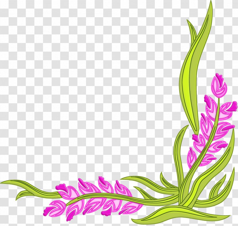 Flower Plant Pedicel Cut Flowers Gladiolus - Stem Transparent PNG
