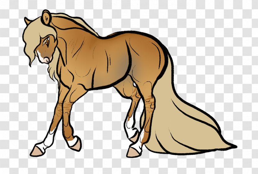 Foal Mustang Donkey Colt Stallion - Barefoot Transparent PNG