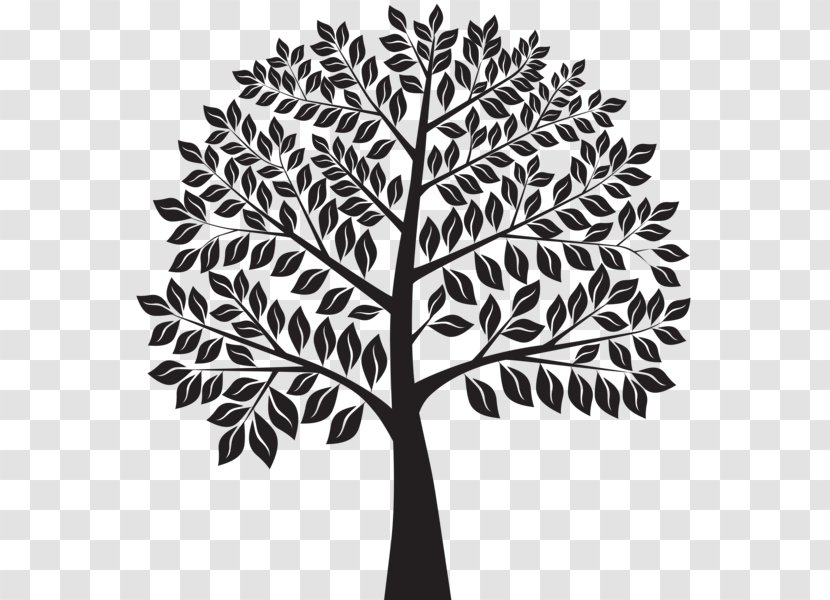 Ecology Natural Environment Royalty-free - Plant - Tree Silhouettes Transparent PNG
