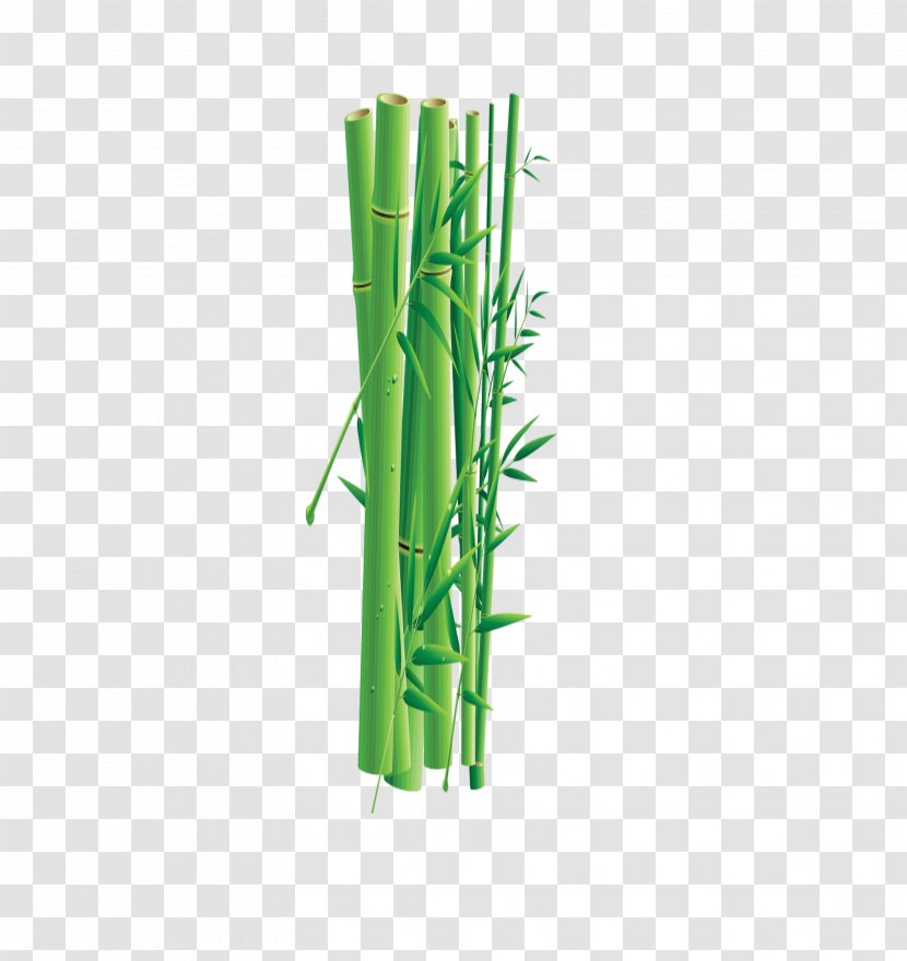 Green Bamboo - Grass - Leaves Transparent PNG