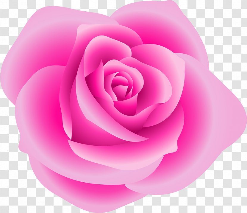 Rose Red Clip Art - Pink Roses Transparent PNG