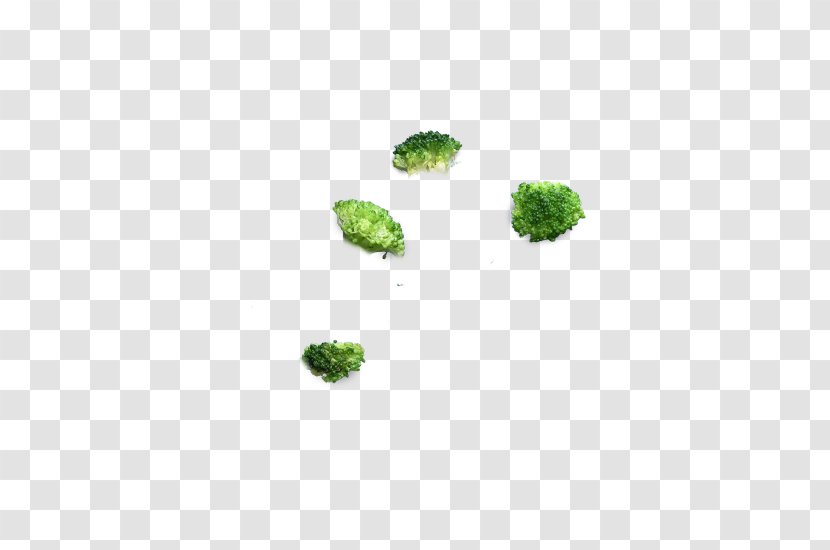 Organism Tree - Grass - Broccoli Transparent PNG