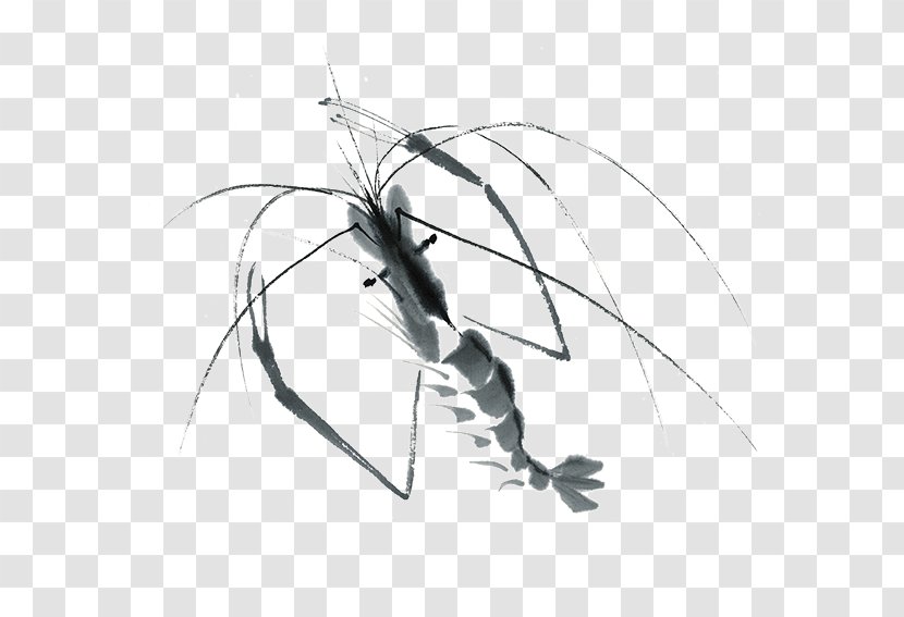 Ink Wash Painting Shrimp Chinese Inkstick - Illustration Transparent PNG