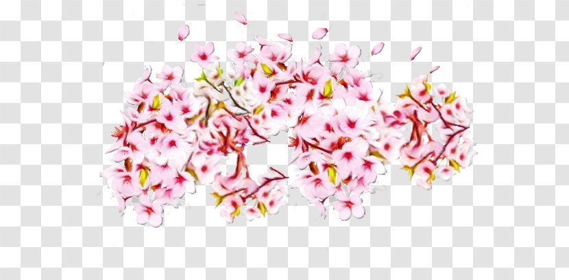 Cherry Blossom - Wet Ink - Branch Transparent PNG