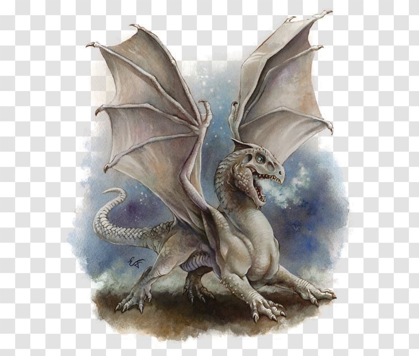 Dungeons & Dragons White Dragon Lludd And Llefelys Wyvern Transparent PNG