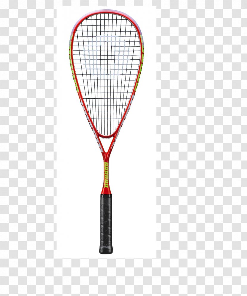 French Open The Championships, Wimbledon Babolat Racket Rakieta Tenisowa - Strings - Tennis Transparent PNG