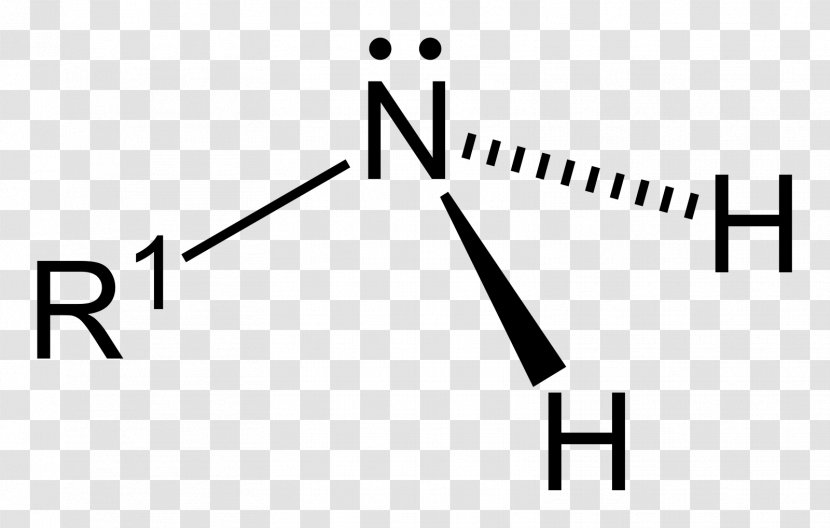 Amine Functional Group Amide Lone Pair Nitrogen - Watercolor - Tree Transparent PNG