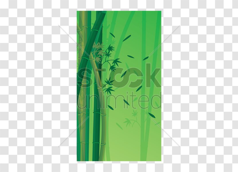 Stock Photography Leaf Rectangle - Green Transparent PNG