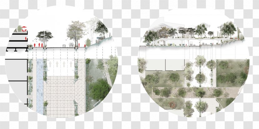 Urban Design Pattern Brand Tree Transparent PNG