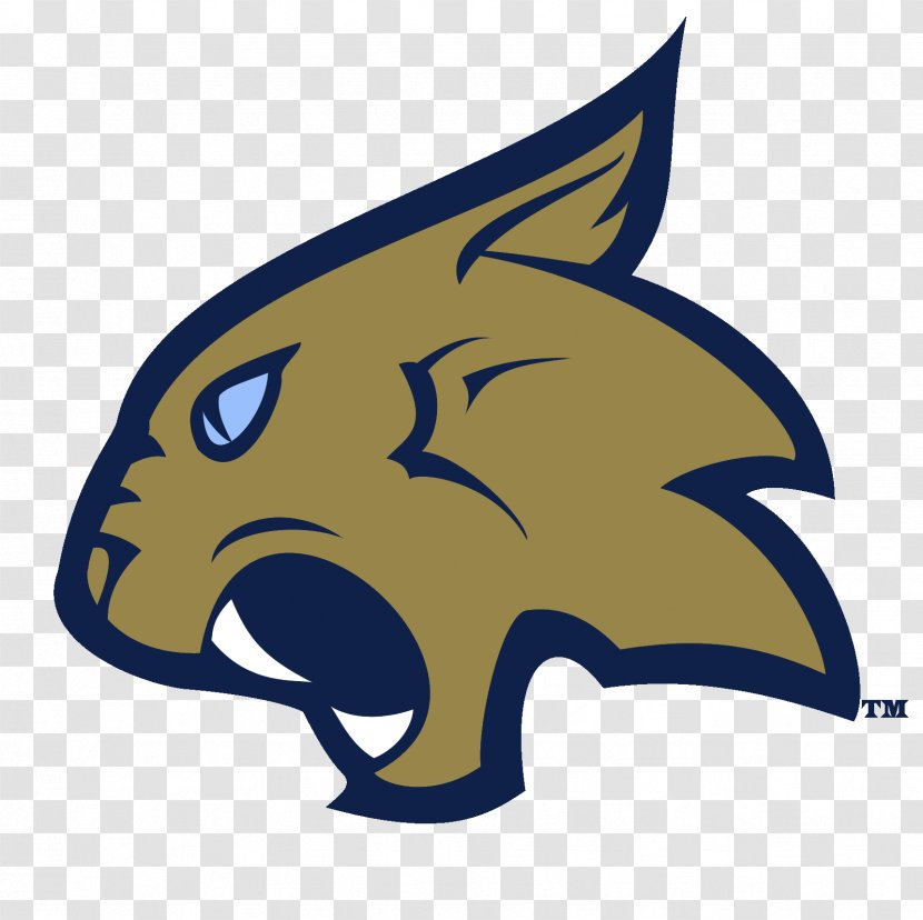 Thiel College Tomcats Football Men's Basketball D'Youville Presidents' Athletic Conference - Carnivoran - American Transparent PNG