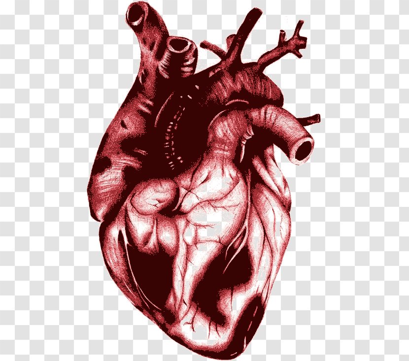 Heart Blood Euclidean Vector - Cartoon - Scarlet Transparent PNG