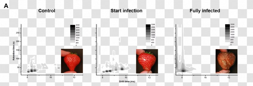 Mass Spectrometry MeBioS KU Leuven - Brand - University Of Flavor Gas ChromatographyMass Transparent PNG