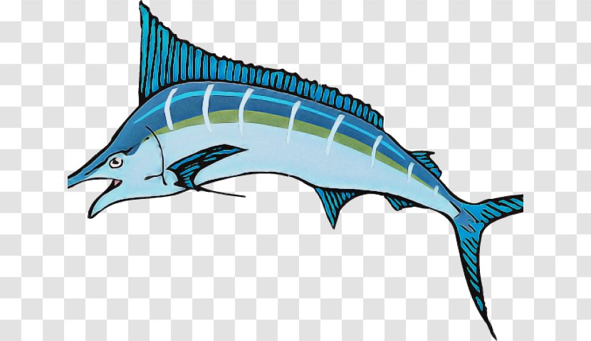 Sailfish Fish Marlin Swordfish Atlantic Blue - Fin - Bonyfish Animal Figure Transparent PNG