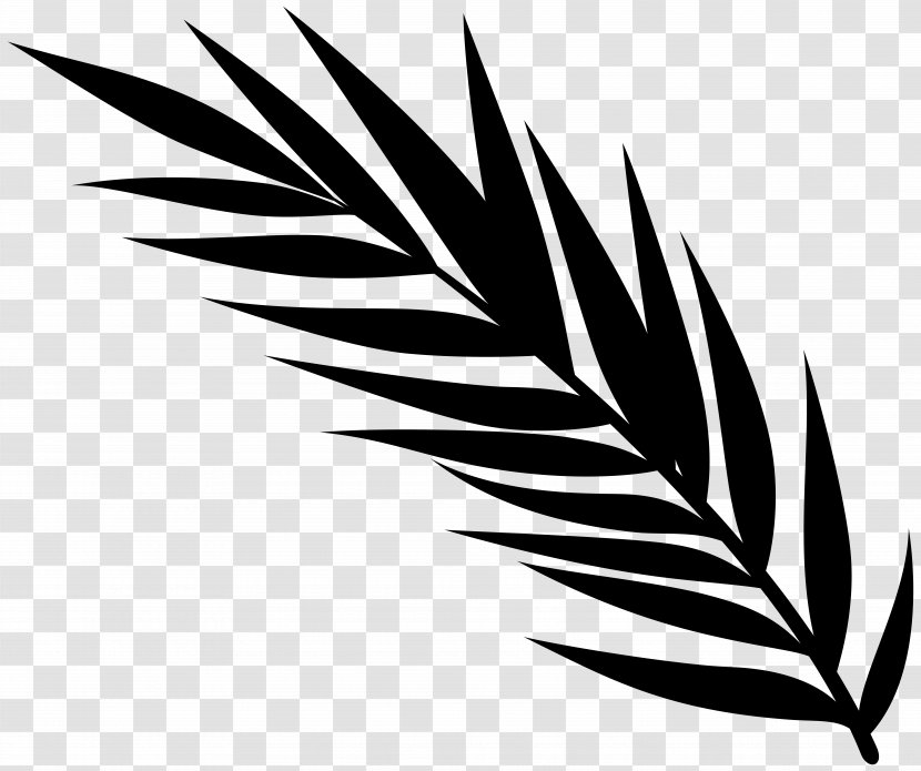 Flowering Plant Clip Art Line Leaf - Wing - Grass Transparent PNG