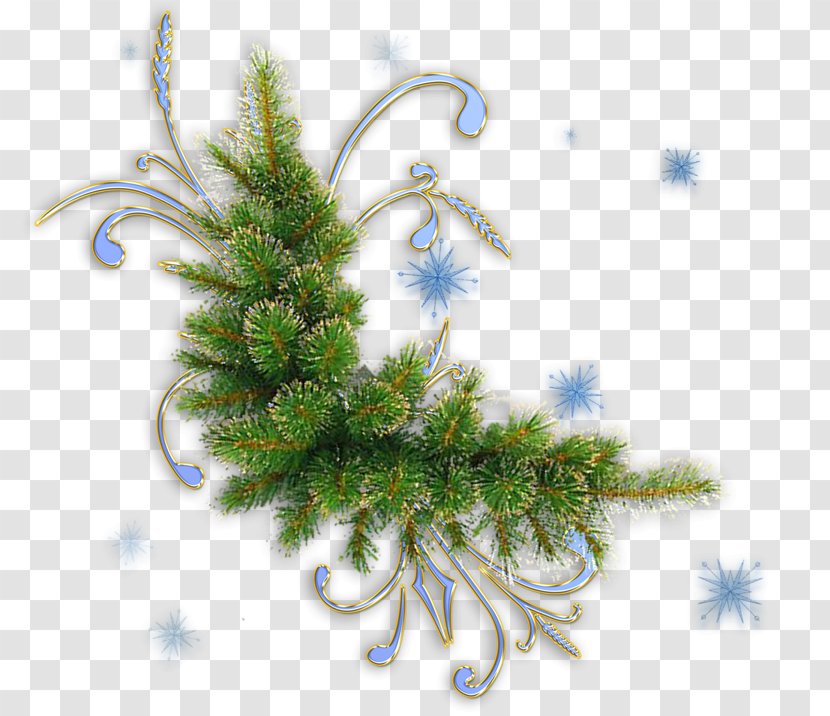Christmas Clip Art - Pine Boughs Transparent PNG