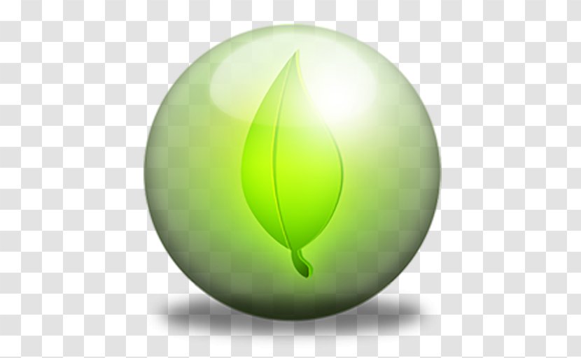 Leaf - Blog - Biome Transparent PNG