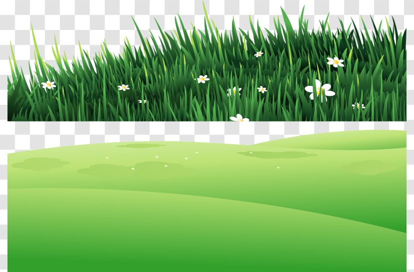 Clip Art - Field - Grass On The Hill Transparent PNG