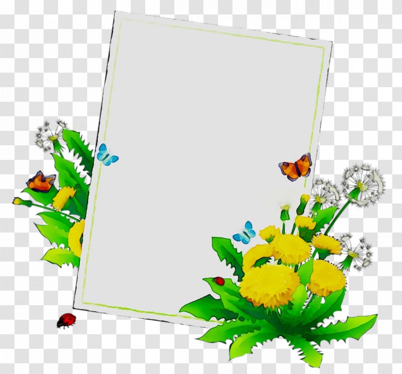 Floral Design Insect Clip Art Cut Flowers Product - Plants Transparent PNG