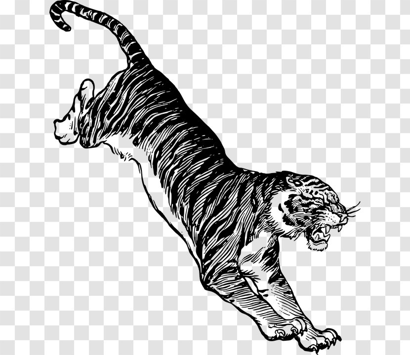 Felidae Cat Drawing Jumping Clip Art - Terrestrial Animal Transparent PNG