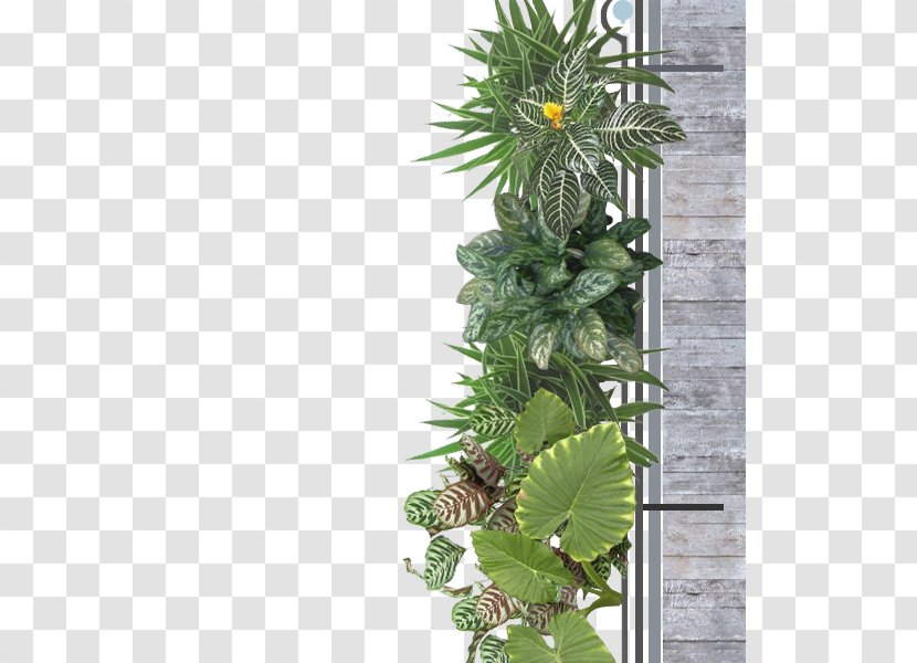 Flowerpot Houseplant Tree - Flower Transparent PNG