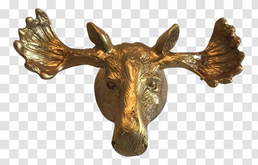 Cattle 01504 - Horn - Brass Transparent PNG