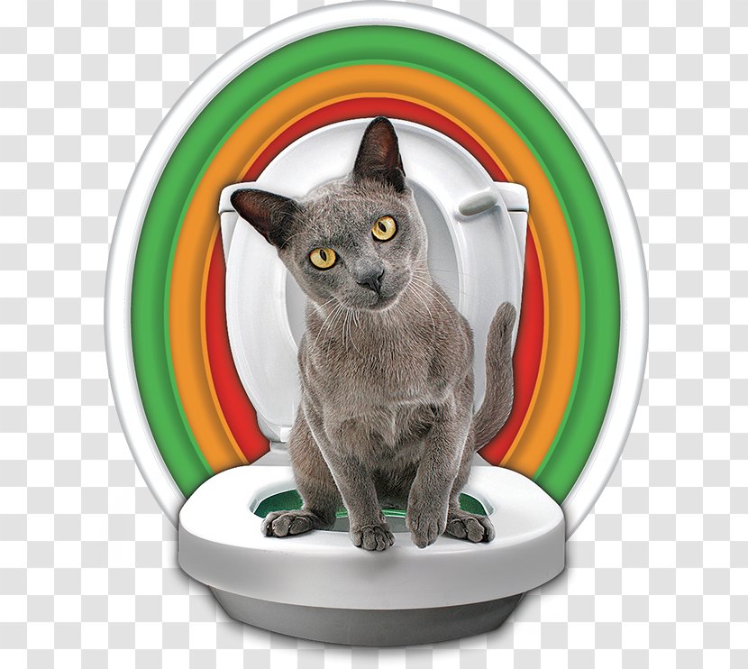 Cat Litter Trays Kitten Toilet Training - Whiskers Transparent PNG