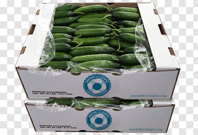 Cucumber Celebrity Chef Box United With Earth, Corp. - Vegetable - Name Soup Transparent PNG