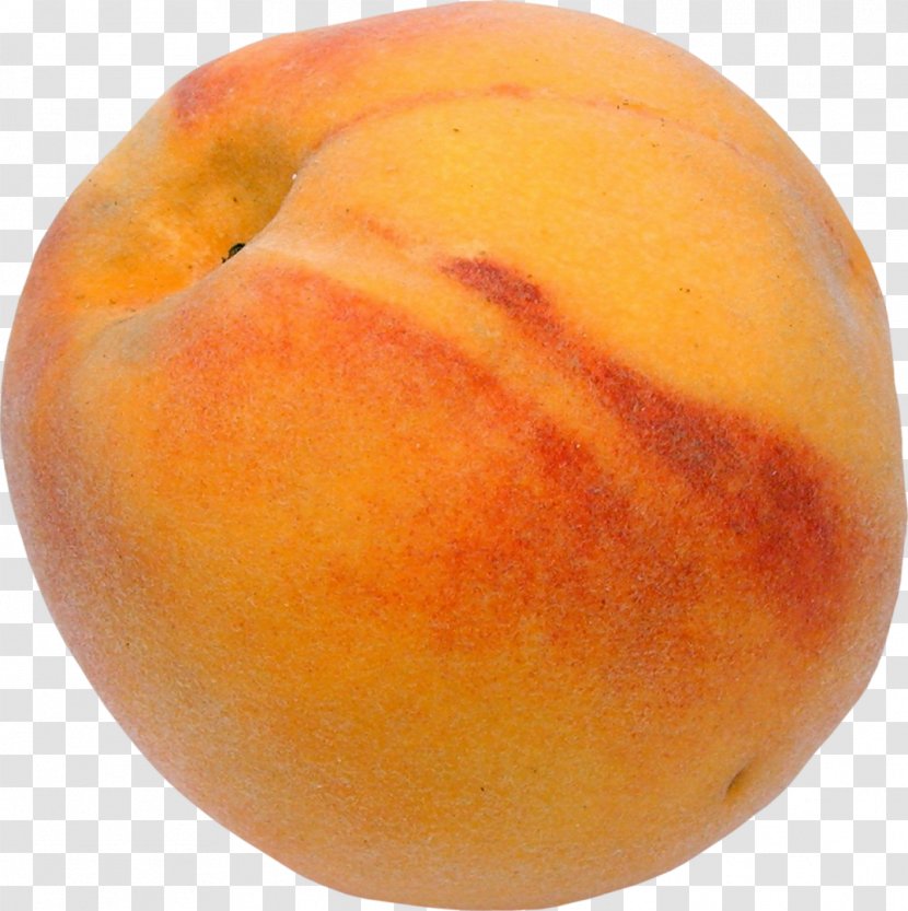 Peach Auglis Fruit Orange Clip Art Transparent PNG