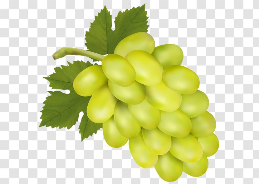 Common Grape Vine Isabella Wine Sultana Concord - White Grapes Cliparts Transparent PNG
