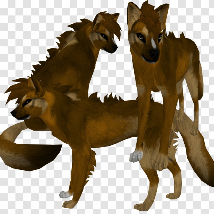 Dhole Feral Cat Dog Mammal - Canidae Transparent PNG