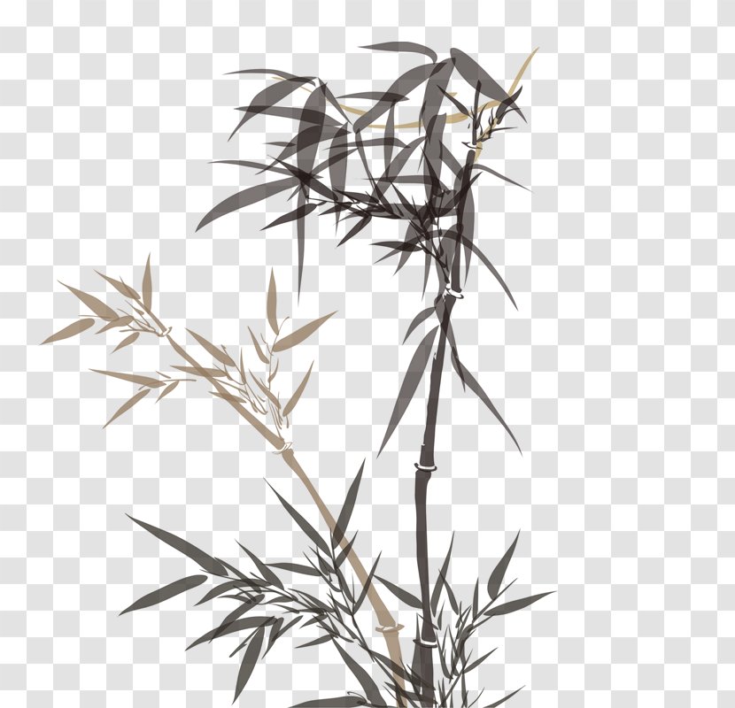 Bamboo Download - Branch Transparent PNG