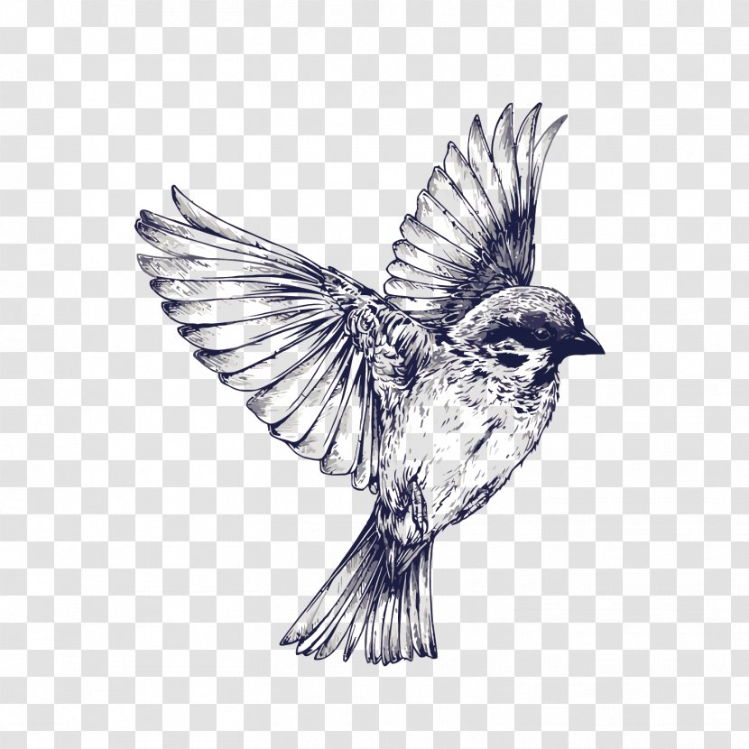Bird Flight Tattoo Drawing Swallow - Flash - Vector Hand Painted Sparrow Transparent PNG