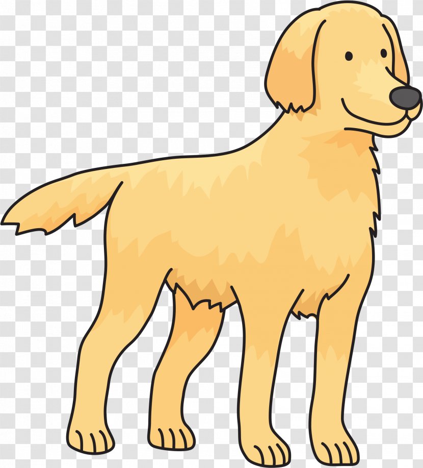 Golden Retriever Labrador Puppy Flat-coated Poodle - Newfoundland Dog - Animal Transparent PNG