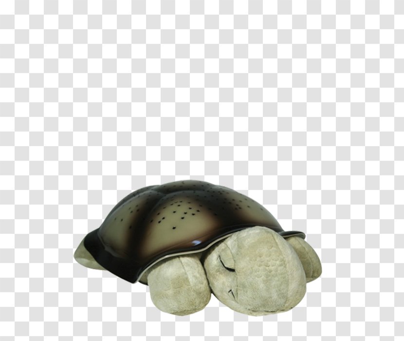 Turtle Nightlight Amazon.com Constellation - Bedroom Transparent PNG