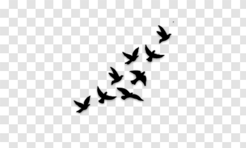 Bird Abziehtattoo Flight - Tattoo Transparent PNG