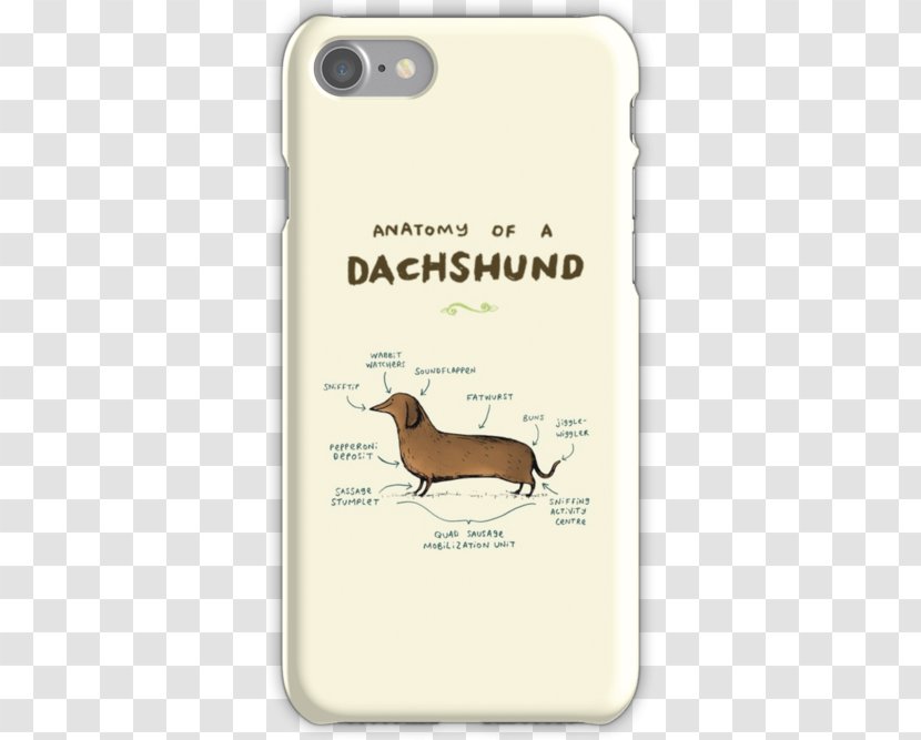Dachshund Hot Dog Anatomy Pet Breed - Like Mammal Transparent PNG
