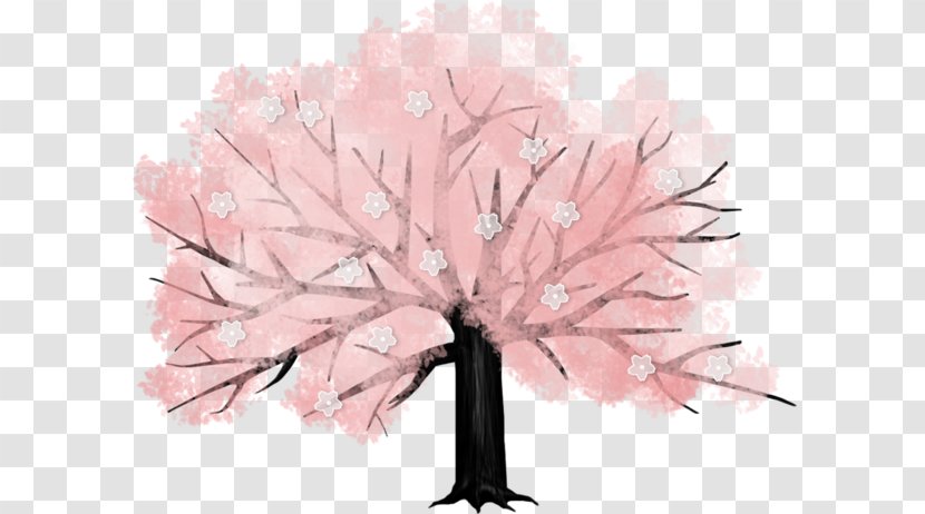 Cherry Blossom Tree Drawing - Cartoon - Painted Pink Transparent PNG