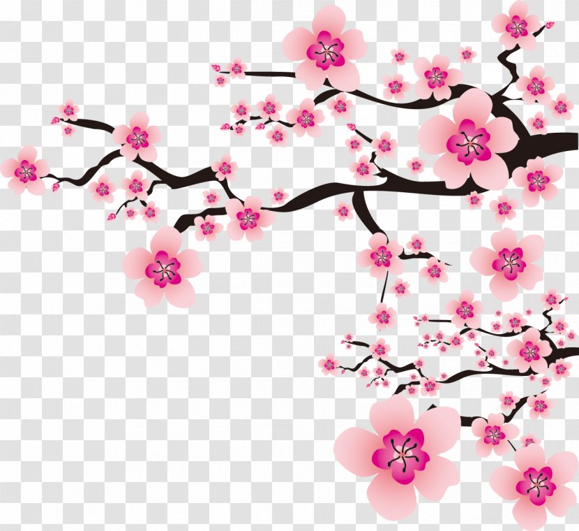 Plum Blossom Flower Clip Art - Branch - Cherry Transparent PNG