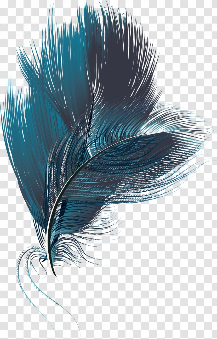 Feather Computer File - Blue Exquisite Feathers Transparent PNG