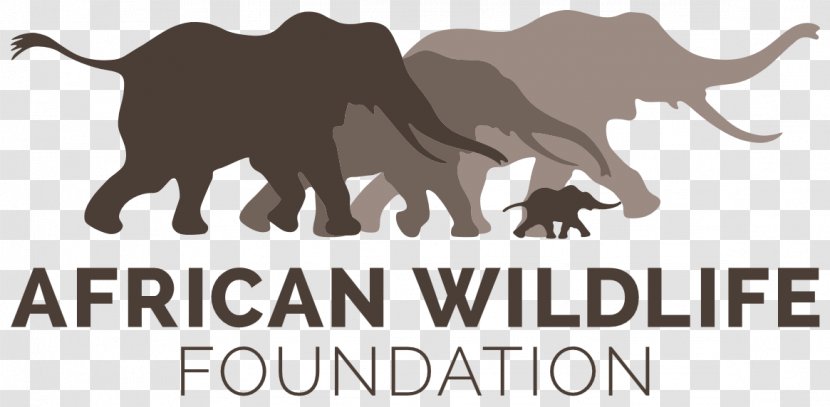 African Wildlife Foundation Kenya Organization Rhinoceros Conservation - Mammal - Snout Transparent PNG